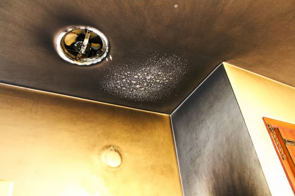 Smoke Damage Removal in Vista